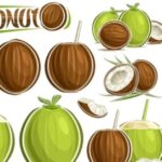 Brown and Green Coconuts