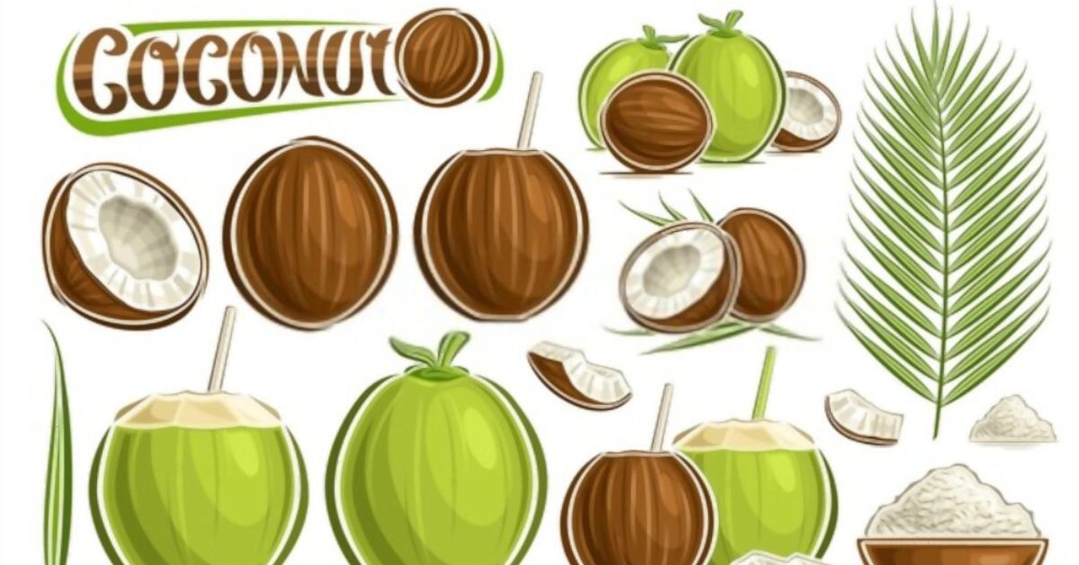 Brown and Green Coconuts