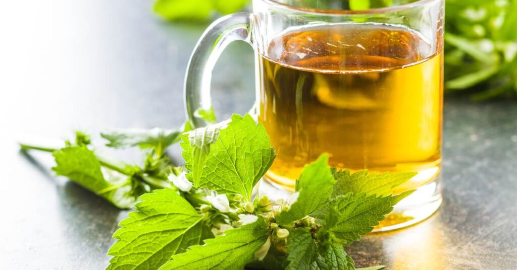 Cerasee Tea for Weight Loss