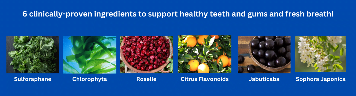 6 clinically-proven ingredients to support healthy teeth and gums and fresh breath!